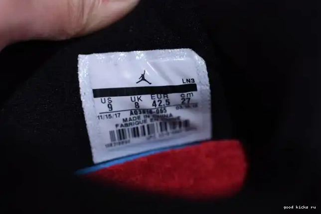 Jordan Raptors